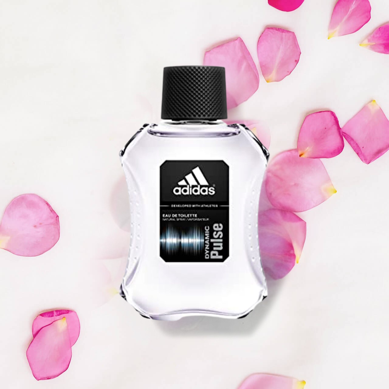 dynamic pulse dynamic pulse