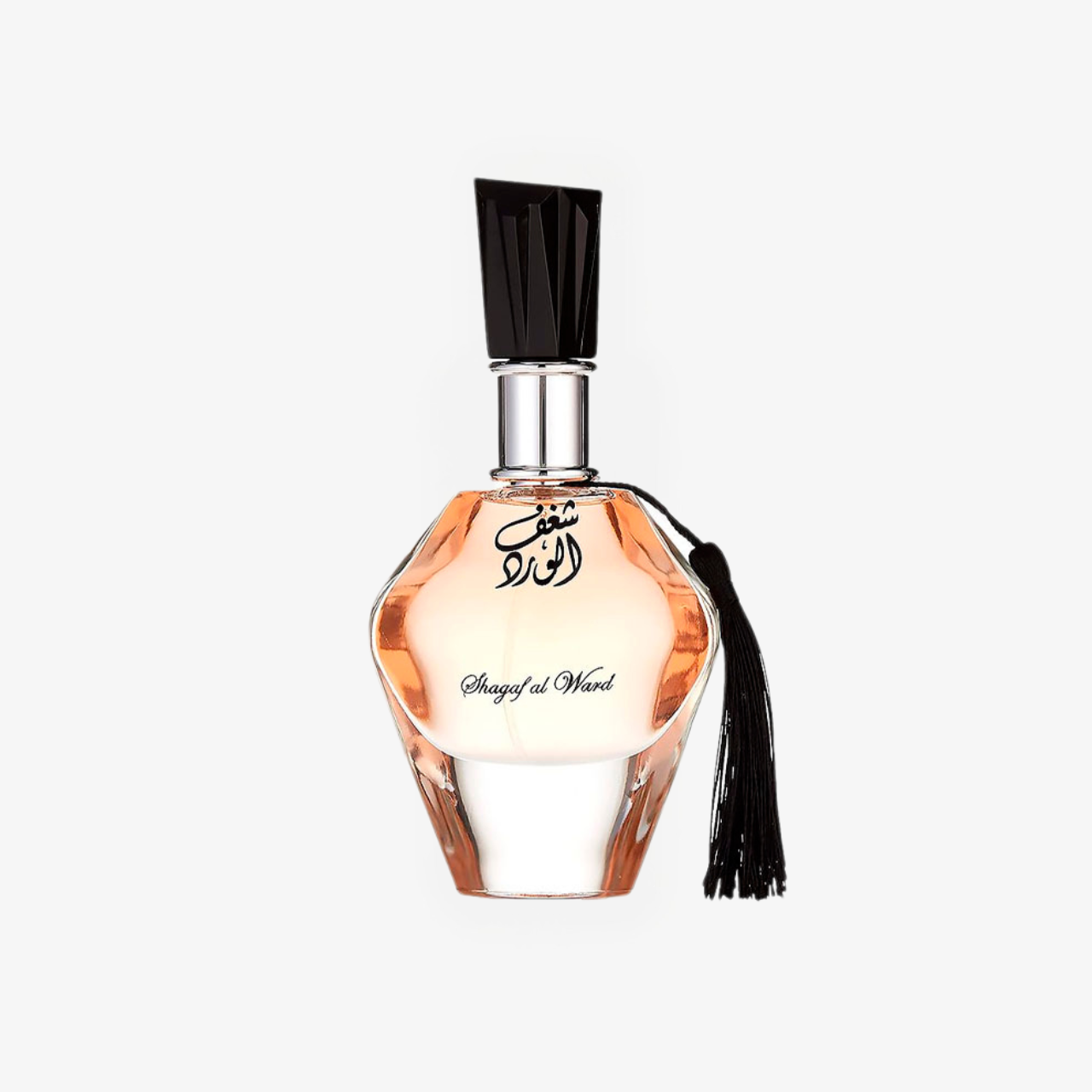 auto draft auto draft