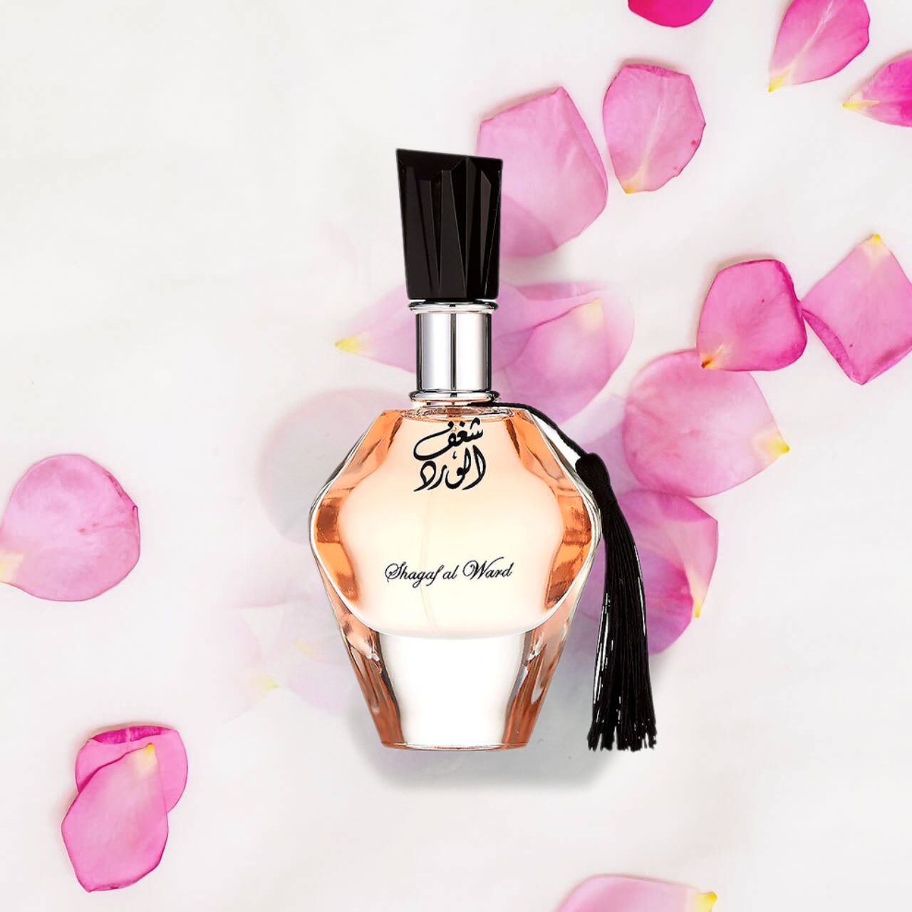 auto draft auto draft