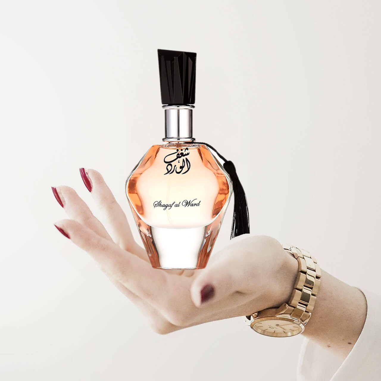 auto draft auto draft