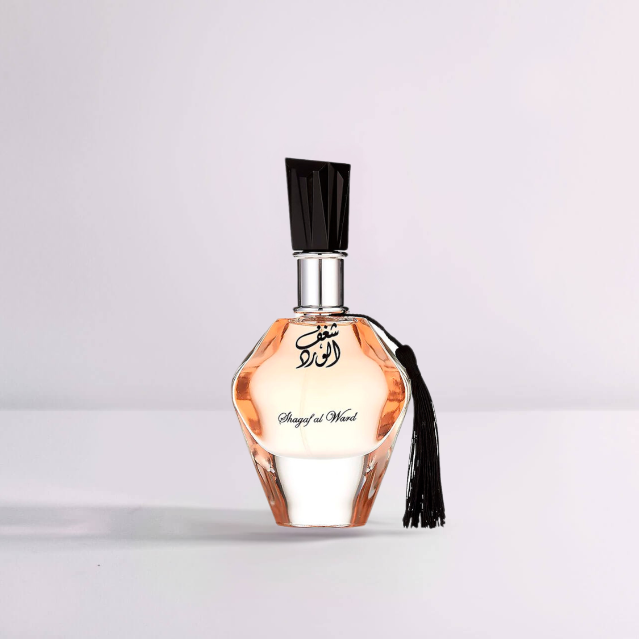 auto draft auto draft