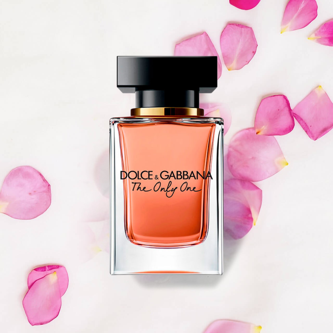 the only one the only one