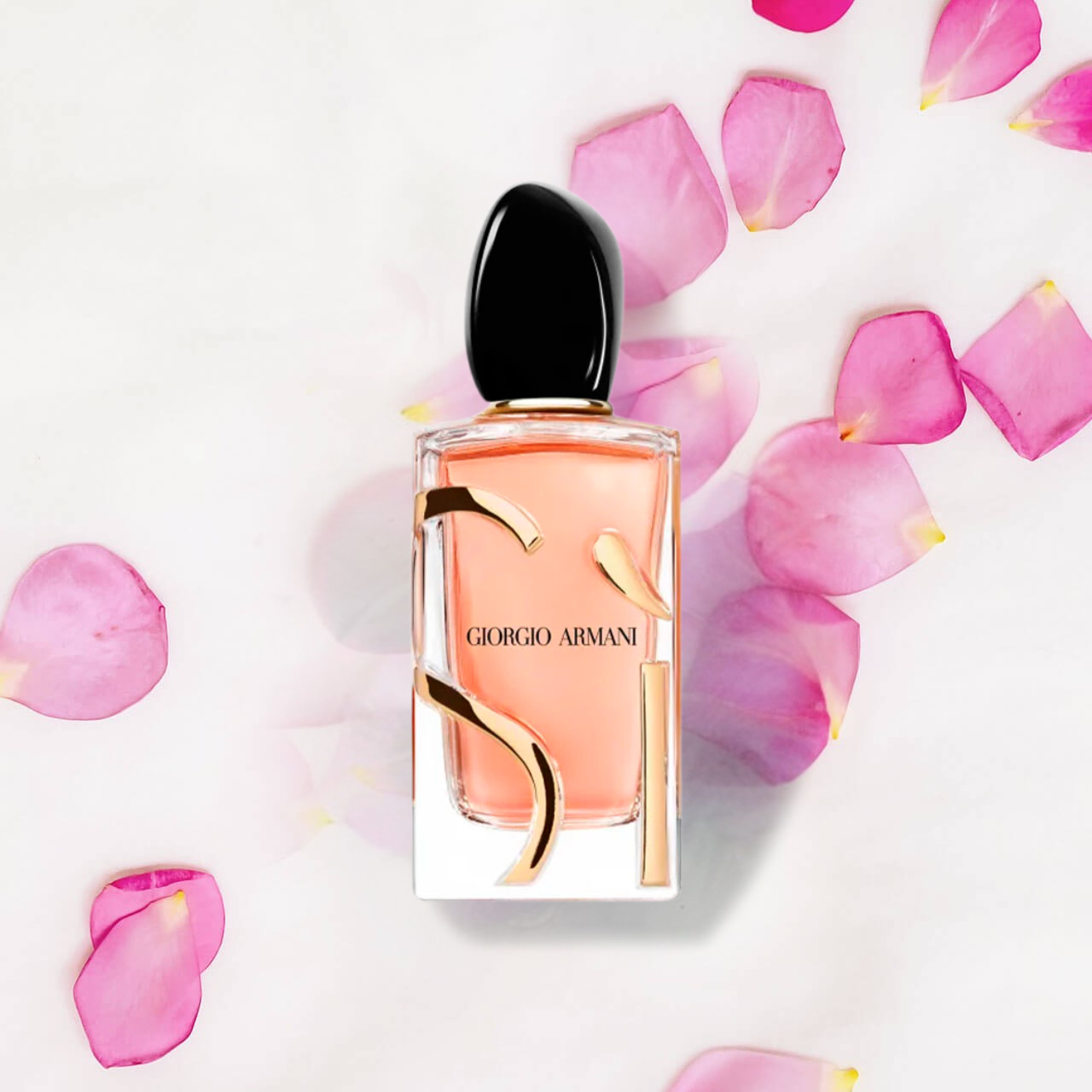 auto draft auto draft